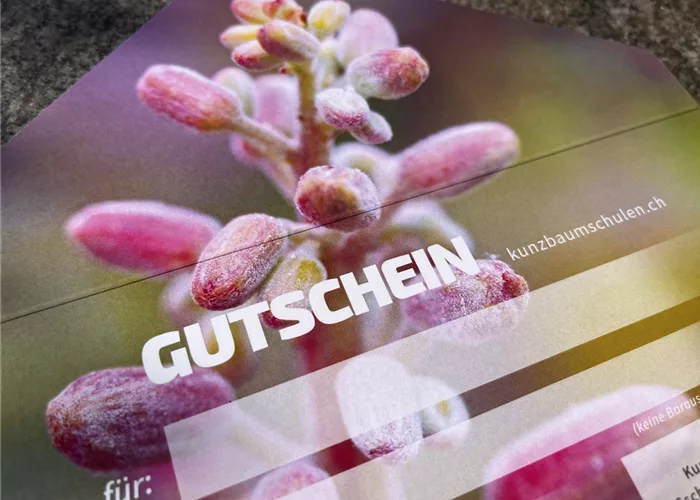 Gutscheine