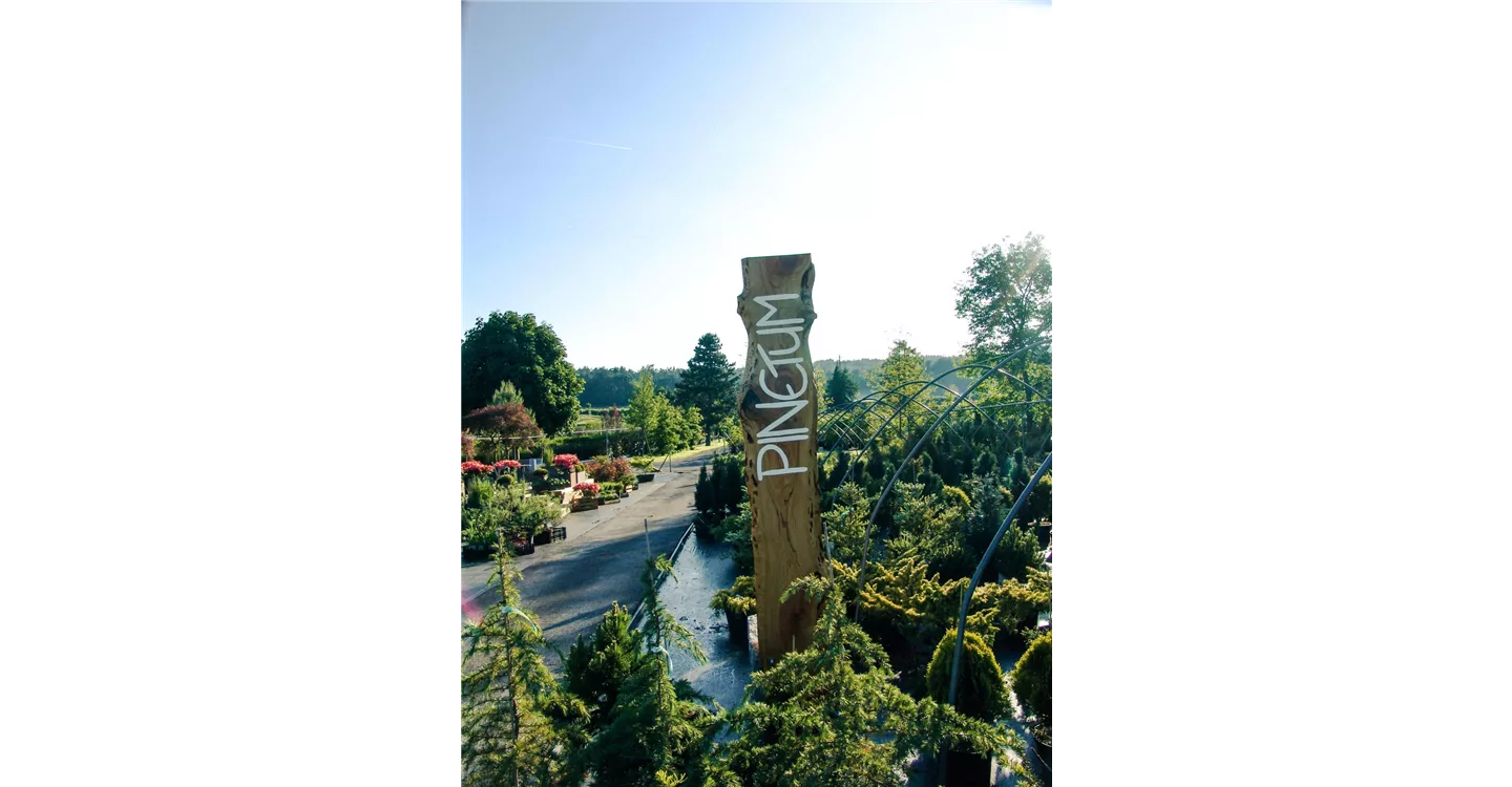 phoca_thumb_l_kunz-baumschulen_kaufgarten_15.jpg