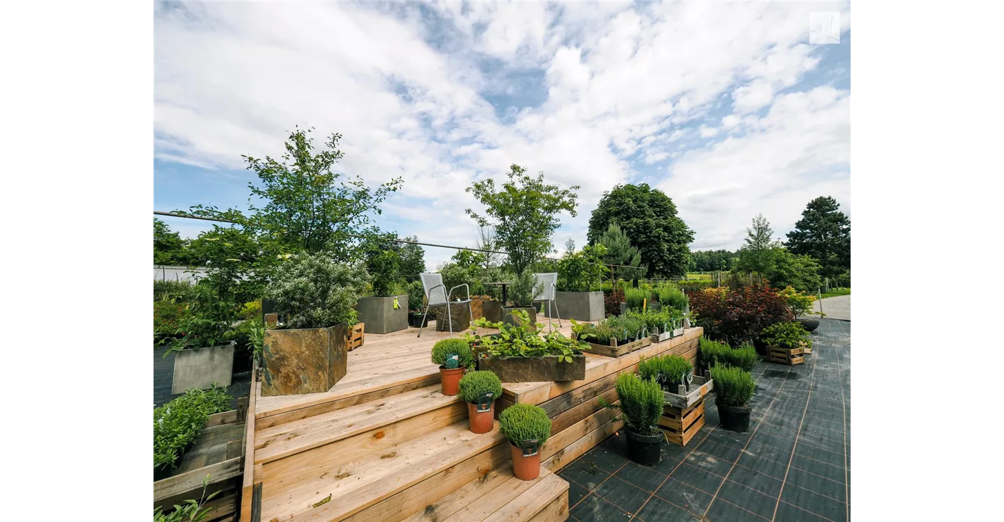 phoca_thumb_l_kunz-baumschulen_kaufgarten_23.jpg