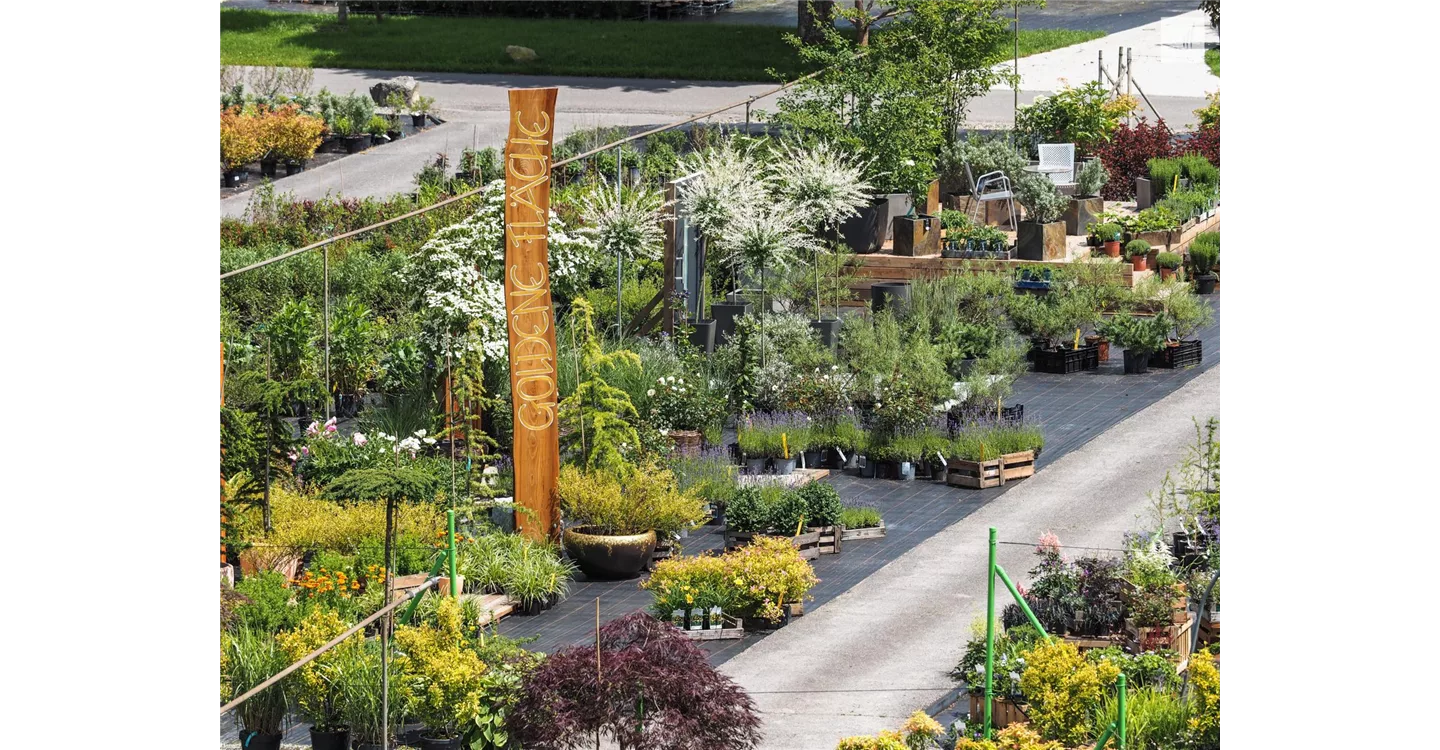 phoca_thumb_l_kunz-baumschulen_kaufgarten_25.jpg
