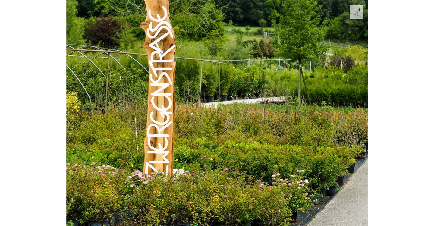 phoca_thumb_l_kunz-baumschulen_kaufgarten_35.jpg