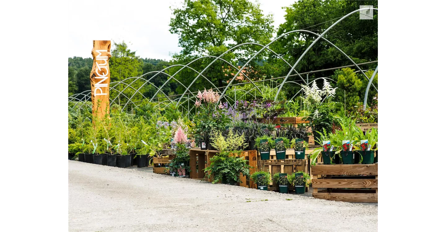 phoca_thumb_l_kunz-baumschulen_kaufgarten_38.jpg