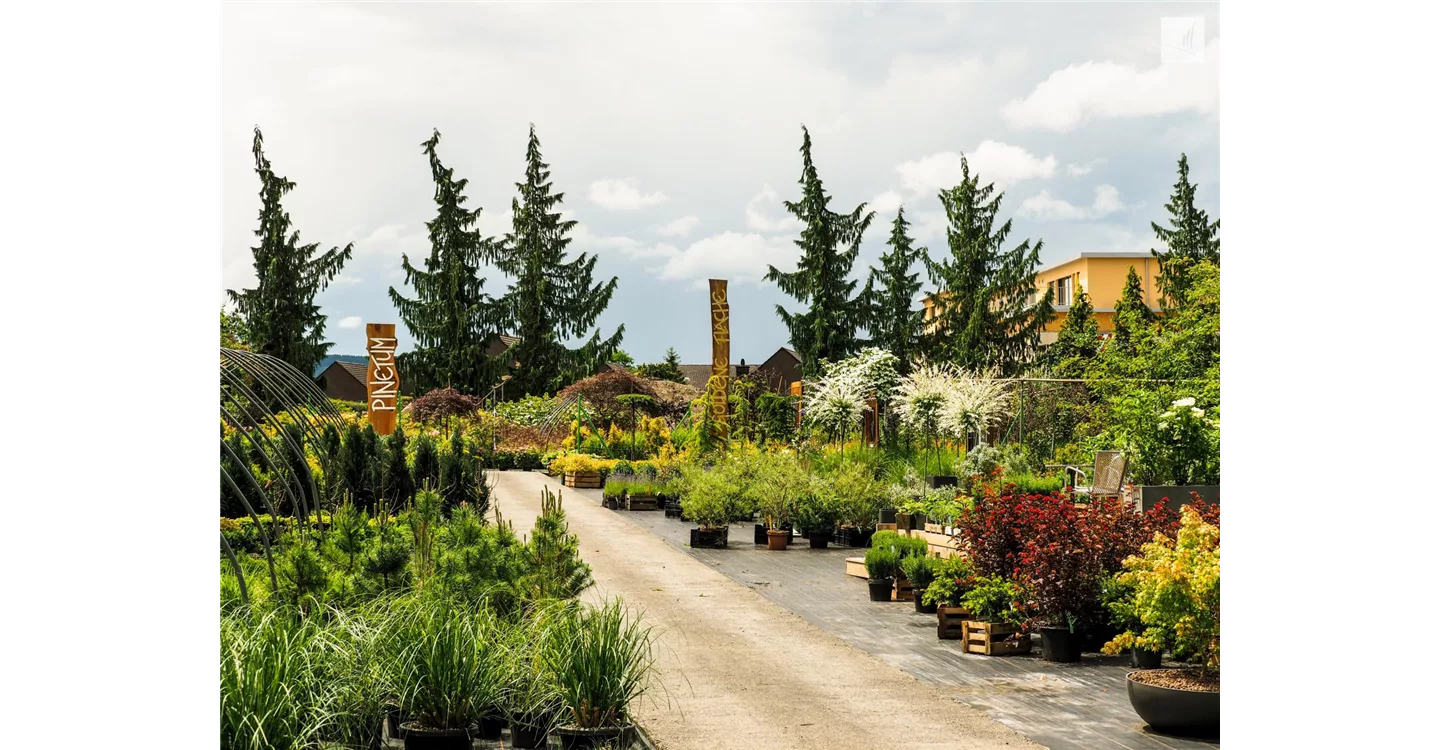 phoca_thumb_l_kunz-baumschulen_kaufgarten_45.jpg