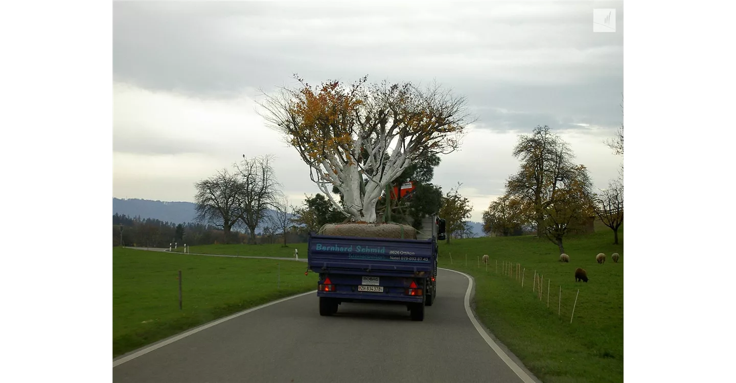 phoca_thumb_l_kunz-baumschulen_referenzen_26.jpg