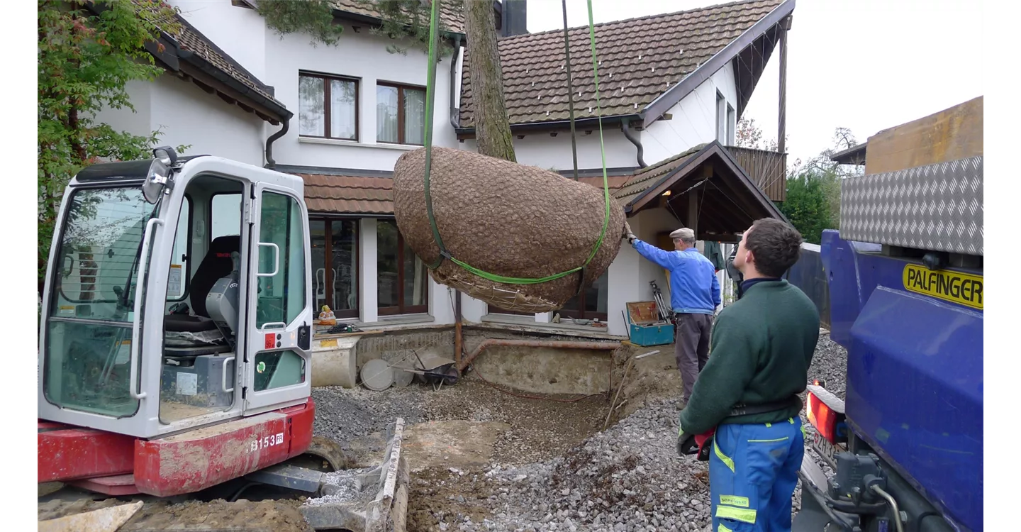 phoca_thumb_l_kunz-baumschulen_referenzen_39.jpg
