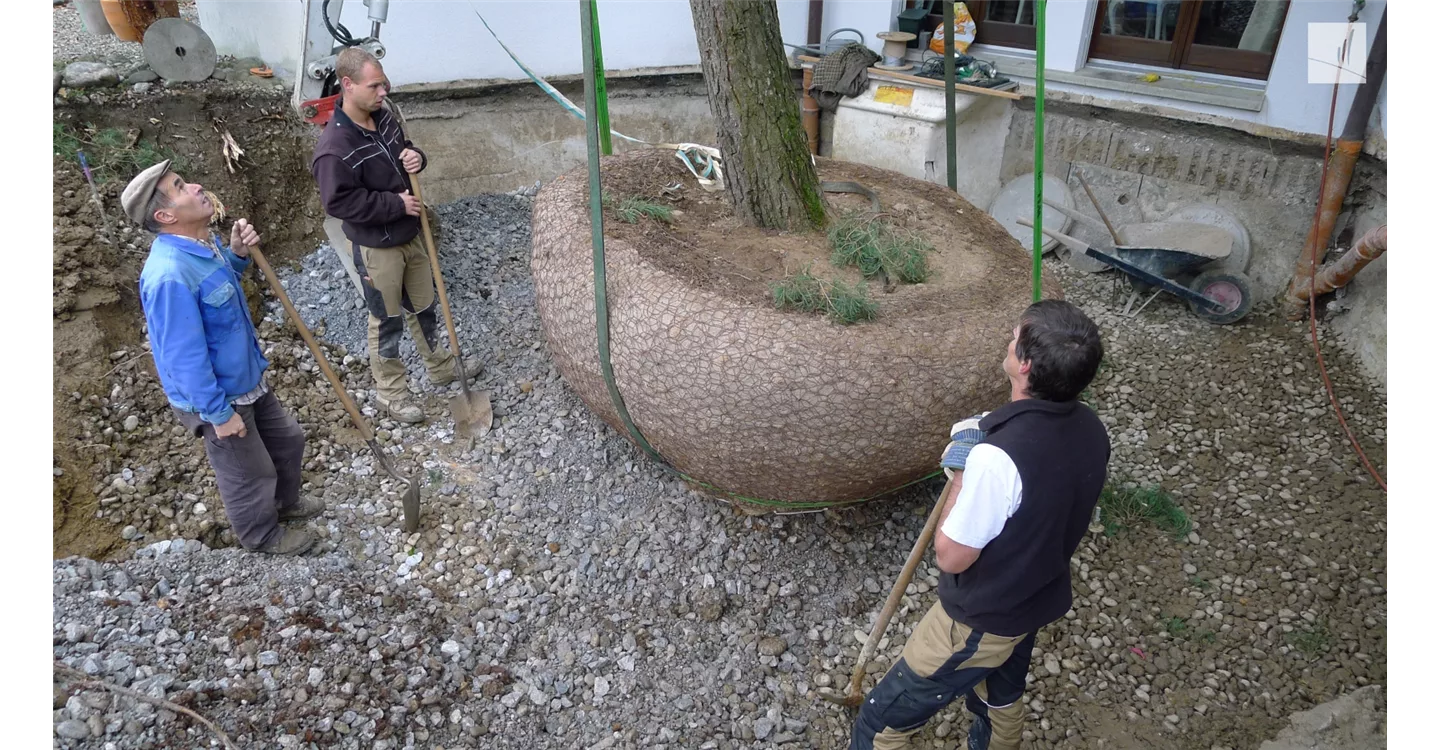 phoca_thumb_l_kunz-baumschulen_referenzen_41.jpg