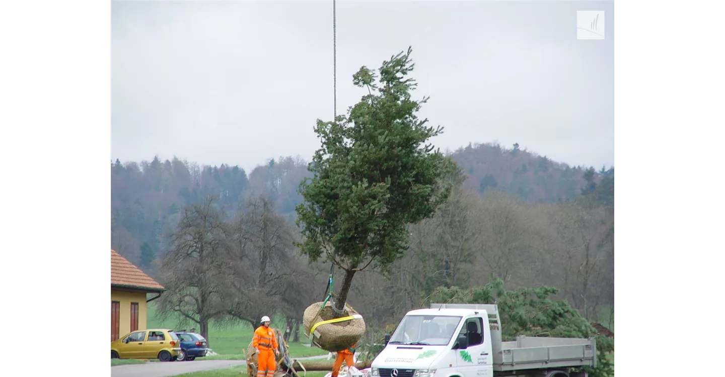 phoca_thumb_l_kunz-baumschulen_referenzen_02.jpg