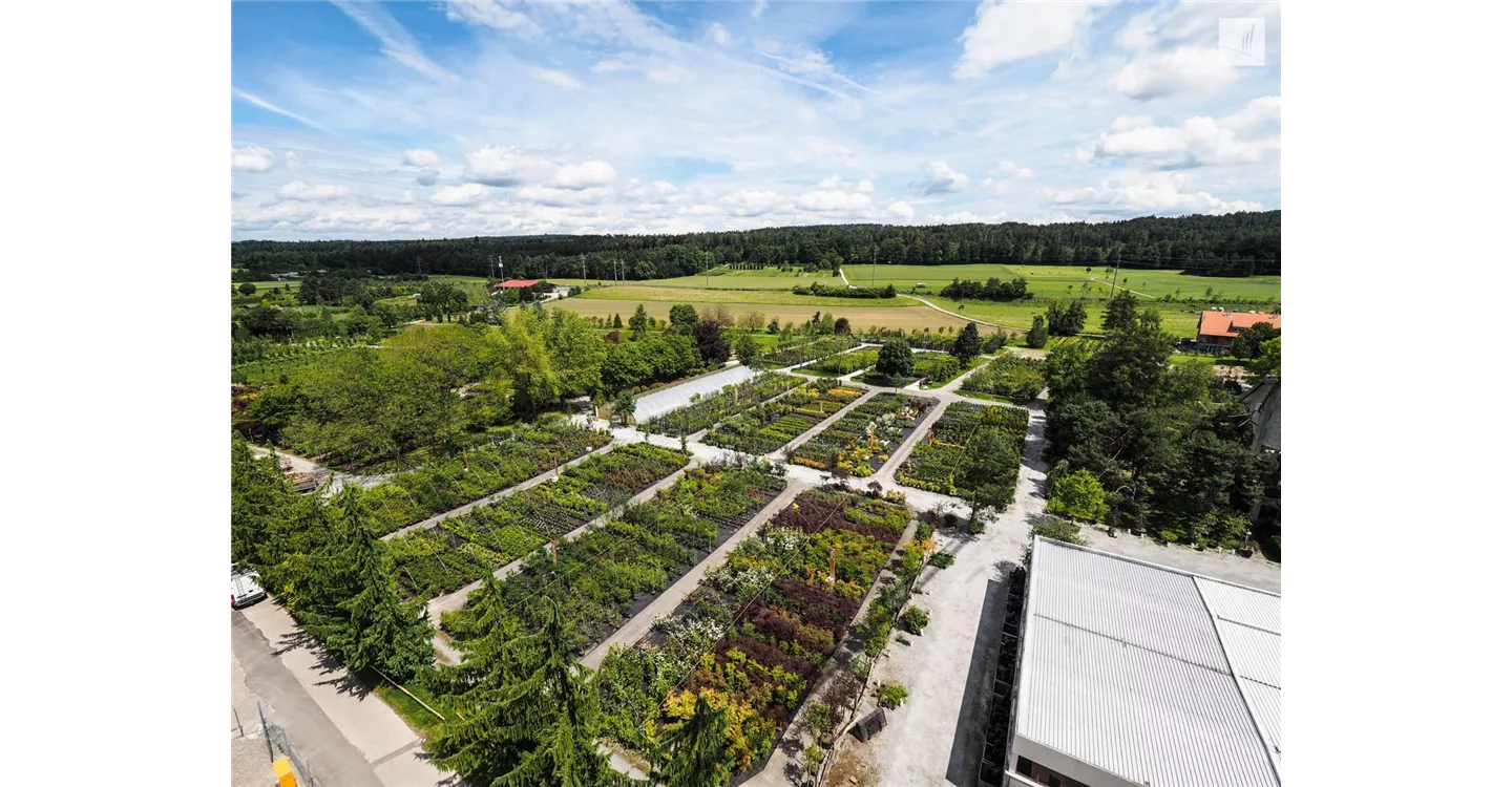 phoca_thumb_l_kunz-baumschulen_kaufgarten_27.jpg
