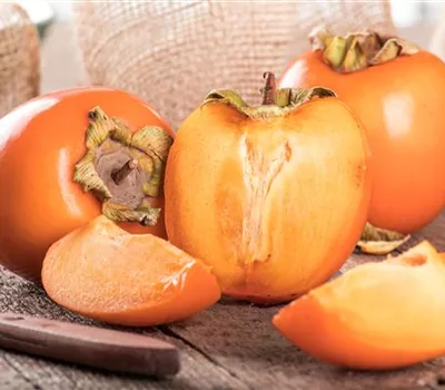 Diospyros lotus Diospyros lotus