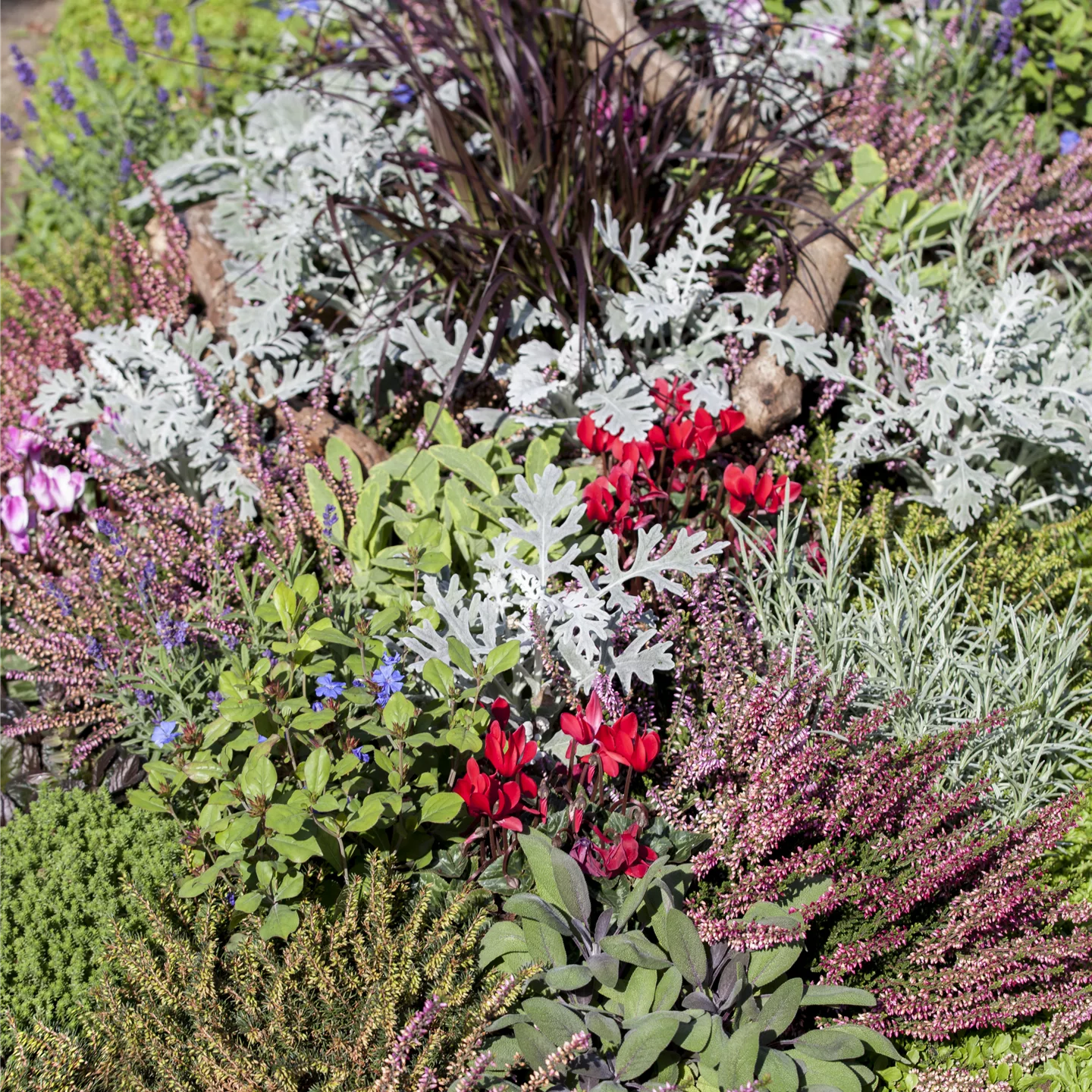 Die Grabpflege im Herbst Die Grabpflege im Herbst